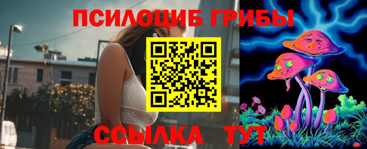 Мурманск  Галлюциногенные грибы MAGIC MUSHROOMS  Псилоцибиновые грибы Magic Shrooms  Вход с VPN 